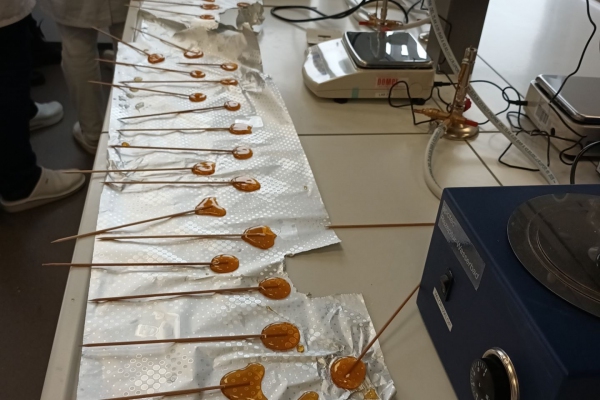 Projektno delo v 2. Fa
